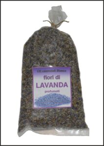 fiori di lavanda